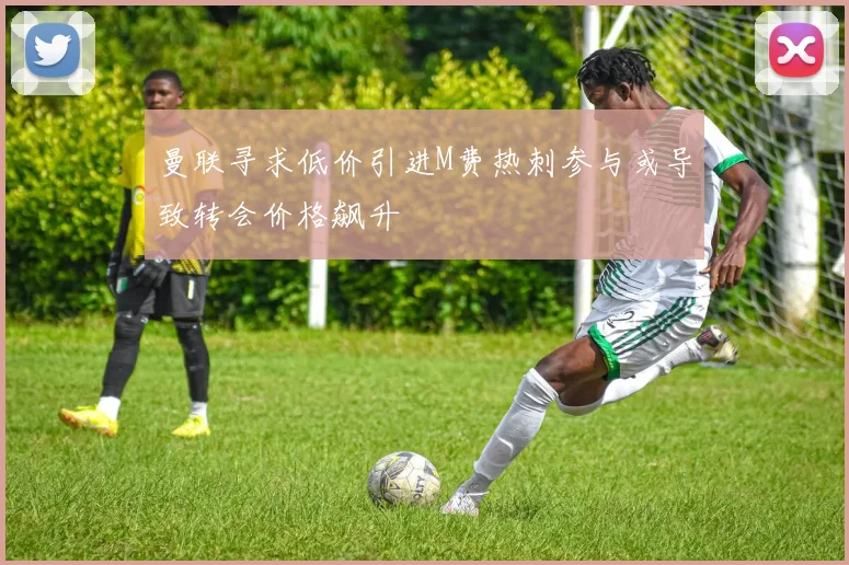 曼联寻求低价引进M费热刺参与或导致转会价格飙升