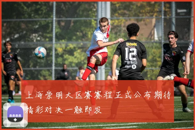 上海崇明大区赛赛程正式公布期待精彩对决一触即发