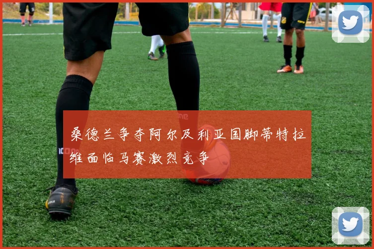 桑德兰争夺阿尔及利亚国脚蒂特拉维面临马赛激烈竞争